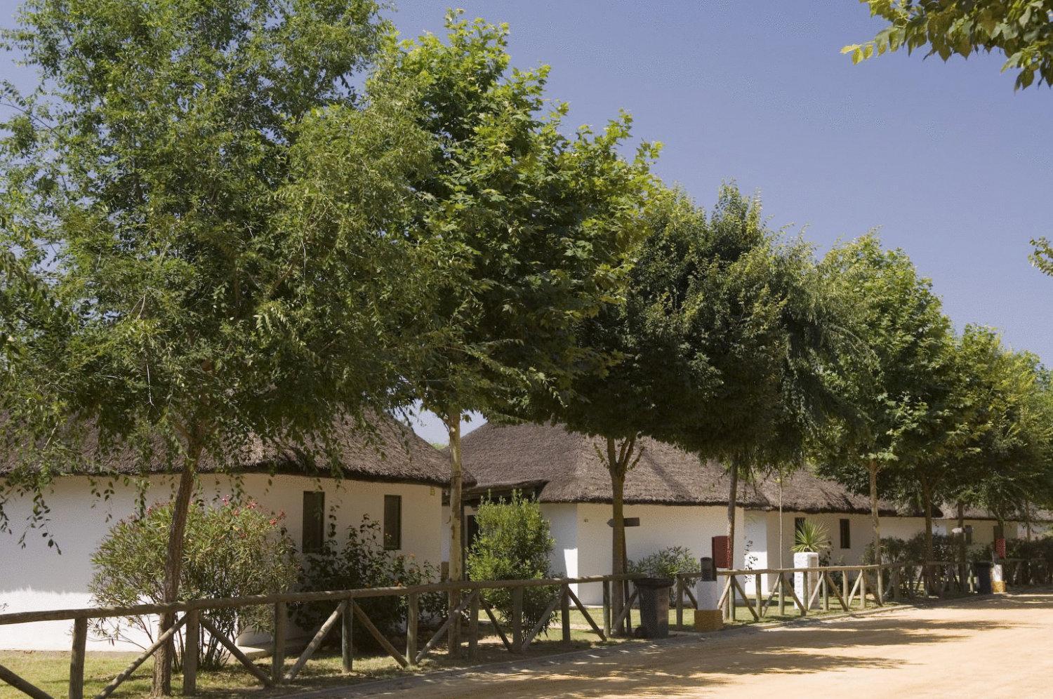 Hôtel Camping La Aldea à El Rocío Extérieur photo